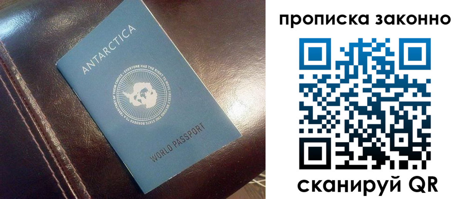 прописка в квартире в Апатитах