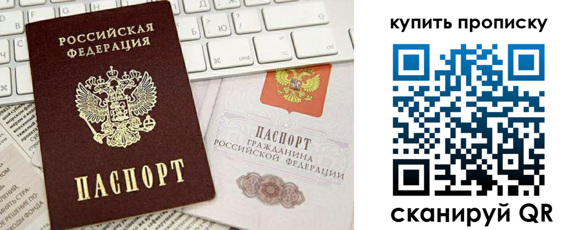 прописка гарантия в Апатитах